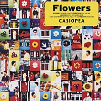 ＣＡＳＩＯＰＥＡ「 Ｆｌｏｗｅｒｓ」