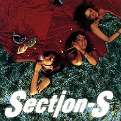 Ｓｅｃｔｉｏｎ－Ｓ「ｗｗｗ．」