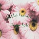 Ｄｒａｇｏｎ　Ａｓｈ「Ｐｕｂｌｉｃ　Ｇａｒｄｅｎ」