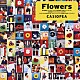 ＣＡＳＩＯＰＥＡ「Ｆｌｏｗｅｒｓ」