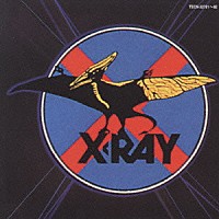 Ｘ－ＲＡＹ「 エックスレイ　ツイン　ベリー　ベスト　コレクション」