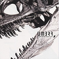 ブンブンサテライツ「 ＵＭＢＲＡ」