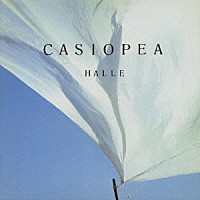 ＣＡＳＩＯＰＥＡ「 ＨＡＬＬＥ」