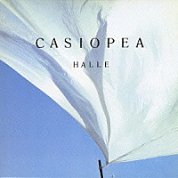 ＣＡＳＩＯＰＥＡ「 ＨＡＬＬＥ」