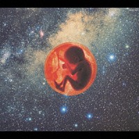 ＨＯＵＮＤ　ＤＯＧ「 ＢＡＢＹ　ＵＮＩＶＥＲＳＥ」