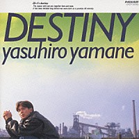 山根康広「 ＤＥＳＴＩＮＹ」