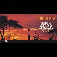 杉本竜一「 Ｔｏｍｏｒｒｏｗ」