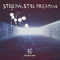 ＴＨＡ　ＢＬＵＥ　ＨＥＲＢ「 ＳＴＩＬＬＩＮＧ　ＳＴＩＬＬ　ＤＲＥＡＭＩＮＧ」