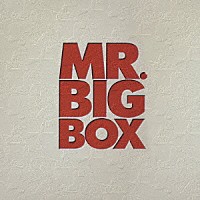 ＭＲ．ＢＩＧ「 ＭＲ．ＢＩＧ　ＢＯＸ」