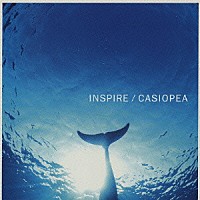 ＣＡＳＩＯＰＥＡ「 ＩＮＳＰＩＲＥ」