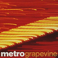 メトロ「 ｇｒａｐｅｖｉｎｅ」