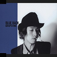 ＧＲＡＰＥＶＩＮＥ「 ＢＬＵＥ　ＢＡＣＫ」