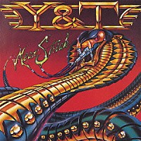 Ｙ＆Ｔ「 ミーン・ストリーク」