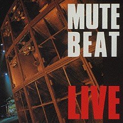 ＭＵＴＥ　ＢＥＡＴ「ＬＩＶＥ」