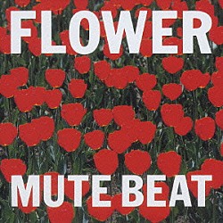 ＭＵＴＥ　ＢＥＡＴ「ＦＬＯＷＥＲ」