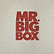 ＭＲ．ＢＩＧ「ＭＲ．ＢＩＧ　ＢＯＸ」