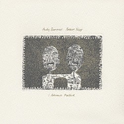 アンディ・サマーズ＆ロバート・フリップ「心象表現」