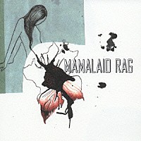 ＭＡＭＡＬＡＩＤ　ＲＡＧ「 きみの瞳の中に」