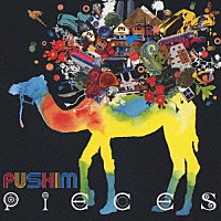 ＰＵＳＨＩＭ「 ＰＩＥＣＥＳ」