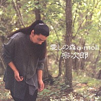 宗次郎「 愛しの森　ａ－ｍｏｌｌ」