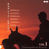 永井美奈子「 サラブレッド・ヒストリー　ＶＯＬ．１」