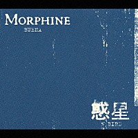 惑星／ＭＯＲＰＨＩＮＥ「 ＢＩＲＤ／ＢＵＥＮＡ」