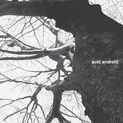 ａｃｉｄ　ａｎｄｒｏｉｄ「ａｃｉｄ　ａｎｄｒｏｉｄ」