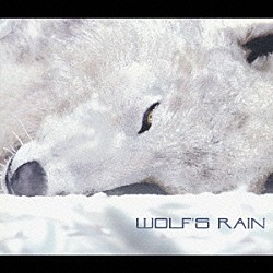 菅野よう子「ＴＶ　ａｎｉｍａｔｉｏｎ　ｏｒｉｇｉｎａｌ　ｓｏｕｎｄｔｒａｃｋ　ＷＯＬＦ’Ｓ　ＲＡＩＮ」