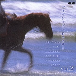 永井美奈子「サラブレッド・ヒストリー　ＶＯＬ．２」