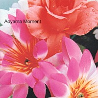 （オムニバス）「 Ａｏｙａｍａ　Ｍｏｍｅｎｔ」