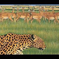 Ｆａｎｔａｓｔｉｃ　Ｐｌａｓｔｉｃ　Ｍａｃｈｉｎｅ「 ｚｏｏ」