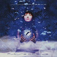 皆川純子「 Ｆｕｔｕｒｅ　ｏｆ　Ｂｌｕｅ」