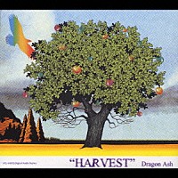 Ｄｒａｇｏｎ　Ａｓｈ「 ＨＡＲＶＥＳＴ」