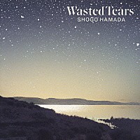 浜田省吾「 ＷＡＳＴＥＤ　ＴＥＡＲＳ」