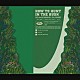 ＲＹＯ　ｔｈｅ　ＳＫＹＷＡＬＫＥＲ　＆　ＴＨＥ　ＦＲＩＥＮＤＳ「ＨＯＷ　ＴＯ　ＨＵＮＴ　ＩＮ　ＴＨＥ　ＢＵＳＨ」