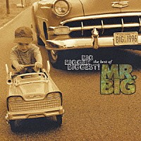 ＭＲ．ＢＩＧ「 ザ・ベスト・オブ・ＭＲ．ＢＩＧ」