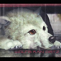 菅野よう子「 ＷＯＬＦ’Ｓ　ＲＡＩＮ　Ｏ．Ｓ．Ｔ．２」