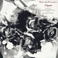 Ｌａｐｕｔａ「 Ｍａｔｅｒｉａｌ　Ｐｌｅａｓｕｒｅｓ」