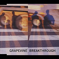 ＧＲＡＰＥＶＩＮＥ「 ＢＲＥＡＫＴＨＲＯＵＧＨ＋リアリティ」