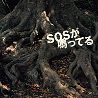 麗蘭「 ＳＯＳが鳴ってる」