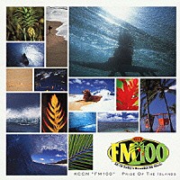 （オムニバス）「 ＫＣＣＮ“ＦＭ１００”ＰＲＩＤＥ　ＯＦ　ＴＨＥ　ＩＳＬＡＮＤＳ」