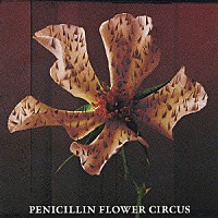 ＰＥＮＩＣＩＬＬＩＮ「 ＦＬＯＷＥＲ　ＣＩＲＣＵＳ」