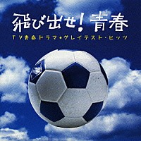 （オムニバス）「 飛び出せ！青春　ＴＶ青春ドラマ★グレイテスト・ヒッツ」