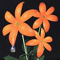 ＯＲＡＮＧＥ　ＲＡＮＧＥ「 花」