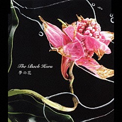 ＴＨＥ　ＢＡＣＫ　ＨＯＲＮ「夢の花」