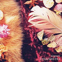 ＣＯＳＡ　ＮＯＳＴＲＡ「 ｔｅｘｔｕｒｅ」