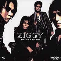 ＺＩＧＧＹ「 ＪＵＳＴ　Ａ　ＲＯＣＫＩＮ’ＮＩＴＥ」