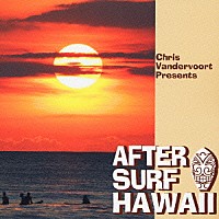 （オムニバス）「 ＡＦＴＥＲ　ＳＵＲＦ　ＨＡＷＡＩＩ」