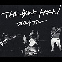 ＴＨＥ　ＢＡＣＫ　ＨＯＲＮ「 コバルトブルー」