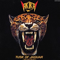 高崎晃「 ジャガーの牙」